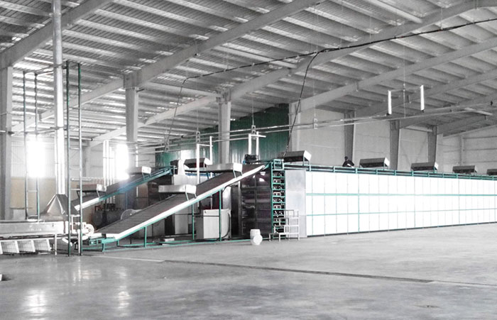 米面制品定型灘涼烘干設備 米面制品定型灘涼烘干設備